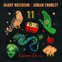 Marry Waterson & Adrian Crowley: Cuckoo Storm, CD