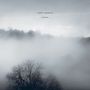 Poppy Ackroyd (geb. 1982): Liminal (180g), LP