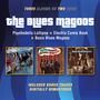 Blues Magoos: Psychedelic Lollipop / Electric Comic Book / Basic Blues Magoos, CD,CD