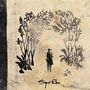 Sigur Rós: Takk (20th Anniversary Edition), LP,LP,LP