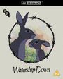 "Watership Down", zwei Hasen in einem Kreis aus Stacheldraht, BFI-Logo oben links, PG-Logo unten rechts.