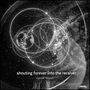 Ludwig van Beethoven: Kammermusik "Shouting forever into the receiver", CD