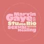Marvin Gaye & Studio Rio: 7-Sexual Healing, SIN
