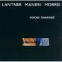 Steven Lantner, Joe Maneri & Joe Morris: Voices Lowered, CD