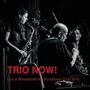 Trio Now!: Live At Nickelsdorfer Konfrontationen 2016, CD