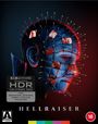 „HELLRAISER“: Ein Gesicht mit blauer Haut, gespickt mit Nadeln. Ein HDR-Logo und rote Altersfreigabe unten.