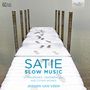 Erik Satie: Klavierwerke "Slow Music" (180g), LP,LP