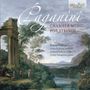 Niccolo Paganini: Kammermusik für Streicher, CD