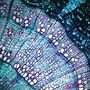 Bluetech: Petite Constellations (Limited Edition), CD