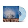 Text: BLISS. Ein kahler Baum vor einer Reihe alter Gebäude unter einem bewölkten blauen Himmel. Eine blaue Schallplatte.