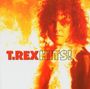 T.Rex : The Very Best Of T.Rex, CD