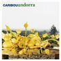 "CARIBOU andorra" oben, eine Vielzahl gelber Blumen und Kürbisse auf einem Holztisch, im Hintergrund Bäume.
