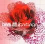 Garbage: Beautiful Garbage, CD