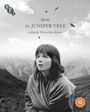 Nietzchka Keene: The Juniper Tree (1990) (Blu-ray) (UK Import), BR