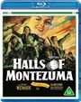 Text: "Halls of Montezuma", "Widmark", "Technicolor". Illustration von Soldaten im Kampf und ein großes Gesicht einer Frau im Hintergrund.