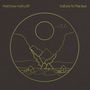 Matthew Halsall: Salute To The Sun, LP,LP