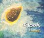 Flook: Haven, CD
