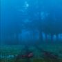 : Commune, LP