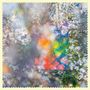 Four Tet: Sixteen Oceans, LP,LP