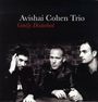 Avishai Cohen (Bass): Gently Disturbed, LP