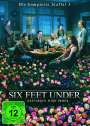: Six Feet Under Staffel 3, DVD,DVD,DVD,DVD,DVD