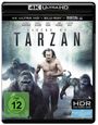David Yates: Legend of Tarzan (Ultra HD Blu-ray & Blu-ray), UHD,BR