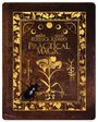 Griffin Dunne: Practical Magic (4K Ultra HD Blu-ray & Blu-ray im Steelbook) (UK Import mit dt. Tonspur), UHD