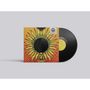 "Common Saints" oben rechts, bunte Illustration: psychedelische Sonnenblume auf einem Plattencover mit schwarzem Vinyl.