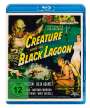 Jack Arnold: Der Schrecken vom Amazonas (1954) (3D Blu-ray), BR