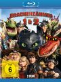 : Drachenzähmen leicht gemacht 1 & 2 (Blu-ray), BR,BR