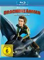 Dean Deblois: Drachenzähmen leicht gemacht (Blu-ray), BR