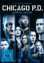 : Chicago P. D. Staffel 6, DVD,DVD,DVD,DVD,DVD,DVD