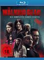 : The Walking Dead Staffel 10 (Blu-ray), BR,BR,BR,BR,BR,BR