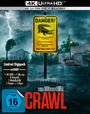 Alexandre Aja: Crawl (2019) (Ultra HD Blu-ray & Blu-ray im Digipak), UHD,BR