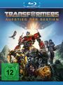 Steven Caple jr.: Transformers: Aufstieg der Bestien (Blu-ray), BR