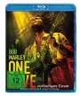 Reinaldo Marcus Green: Bob Marley: One Love (Blu-ray), BR