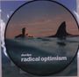 „dua lipa radical optimism“ ist der Text. Eine Person schwimmt neben einer großen Haiflosse im Wasser.
