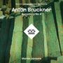 Anton Bruckner: Symphonie Nr.4 (180g), LP,LP