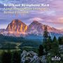 Text: "Bruckner Symphony No.9 London Symphony Orchestra Bernard Haitink, alto." Hintergrund: Majestätische Berglandschaft bei Sonnenuntergang.