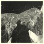 Secret Boyfriend: Memory Care Unit, LP