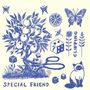 Special Friend: Clipping, LP