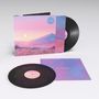 Text: "Give Me A Dream". 
Vinyl mit pastellfarbenem Landschaftsgemälde von Bergen und Himmel.