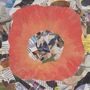 Joseph Allred: The True Light, LP
