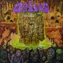Dipygus: Dipygus, LP