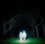 Zwei leuchtende Figuren stehen in einem dunklen Wald, umgeben von kahlen Bäumen und Gras.