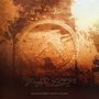 Aphex Twin: Selected Ambient Works Volume II, CD,CD,CD