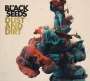 The Black Seeds: Dust And Dirt, CD