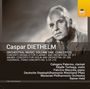 Caspar DIETHELM, Orchesterwerke. Konzerttitel: "Concerto Hiemalis," "Anubis," "Yggdrasil." Graue Porträtfotografie.