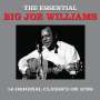 Big Joe Williams (Guitar / Blues): The Essential, CD,CD