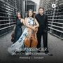 : Trio Con Brio Copenhagen - The Passenger, CD